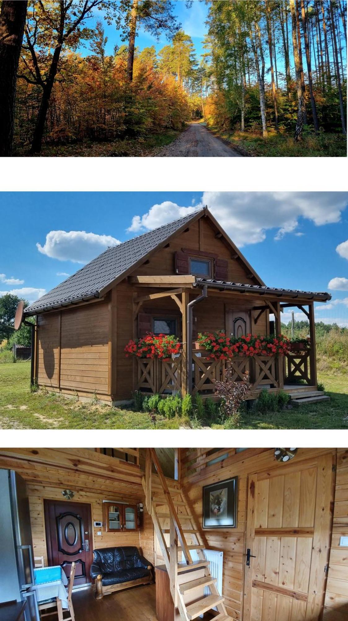 Domek Triftberg Chojna Extérieur photo